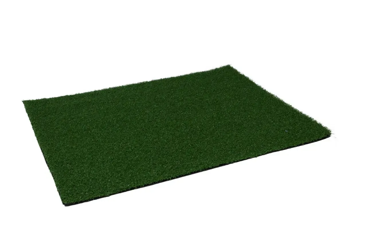 Exhibition Grass - Image 2